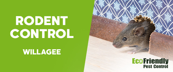 Rodent Treatment Willagee