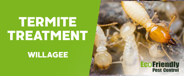 Termite Control Willagee