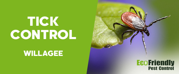 Ticks Control Willagee