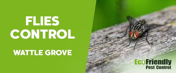 Pest Control Wattle Grove