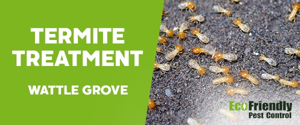 Pest Control Wattle Grove