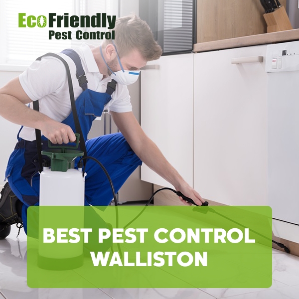 Best Pest Control Walliston