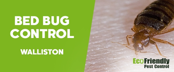 Bed Bug Control Walliston