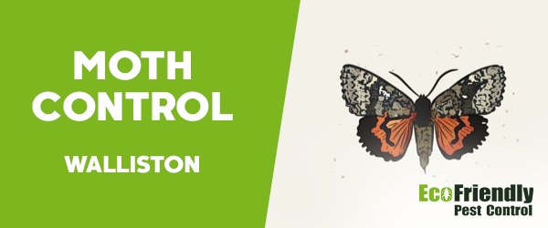 Moth Control Walliston