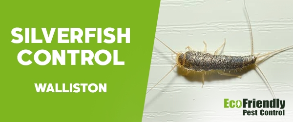 Silverfish Control Walliston