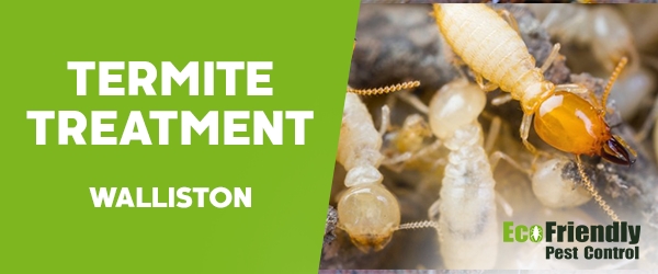 Termite Control Walliston