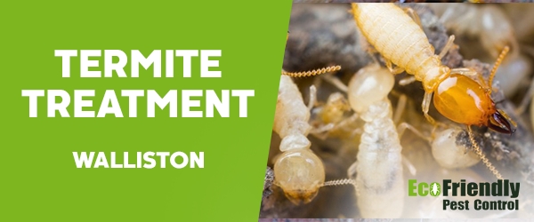 Termite Control Walliston