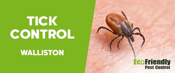 Ticks Control Walliston