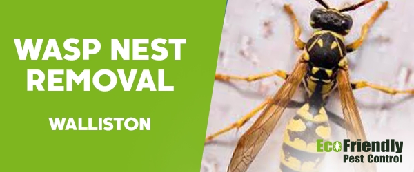 Wasp Nest Remvoal Walliston