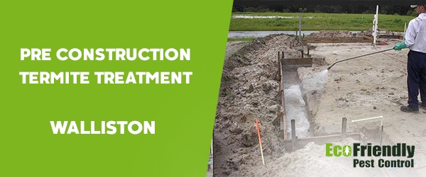 Pre Construction Termite Treatment Walliston