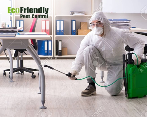 Pest Control service