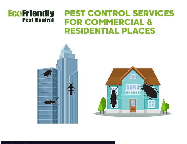 Pest Control Reservoir