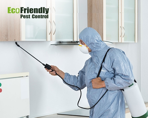 Pest Control Pickering Brook