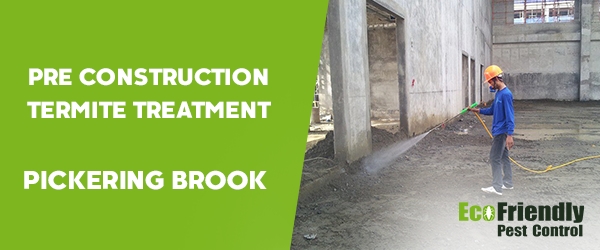 Pre Construction Termite Treatment Pickering Brook