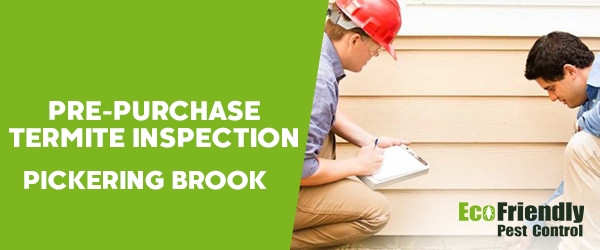 Pre-purchase Termite Inspection Pickering Brook