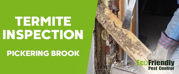Termite Inspection Pickering Brook