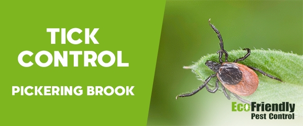 Ticks Control Pickering Brook