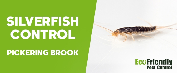 Silverfish Control Pickering Brook