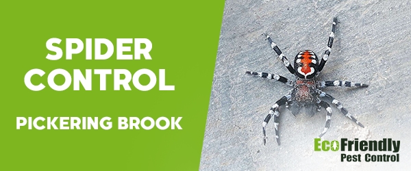 Spider Control Pickering Brook