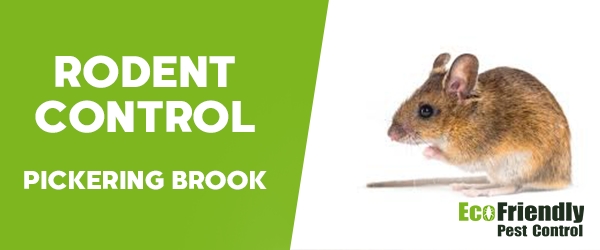 Rodent Treatment Pickering Brook