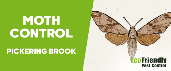 Moth Control Pickering Brook