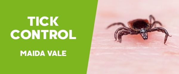 Ticks Control Maida Vale