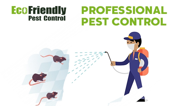 Pest Control Lesmurdie