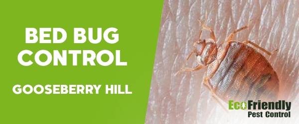 Pest Control Gooseberry Hill