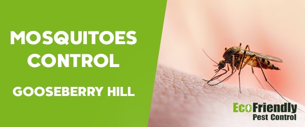 Pest Control Gooseberry Hill