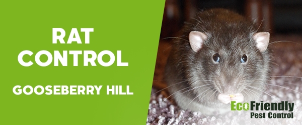 Pest Control Gooseberry Hill