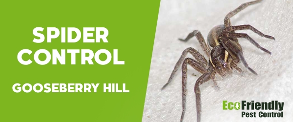 Pest Control Gooseberry Hill