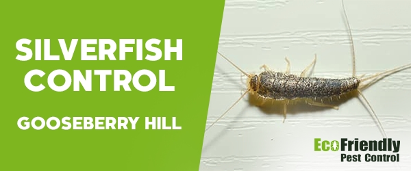 Pest Control Gooseberry Hill