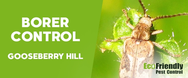 Pest Control Gooseberry Hill