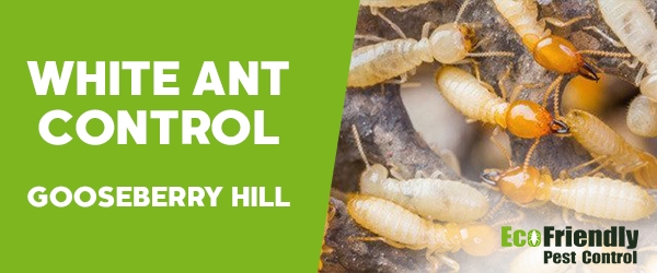 Pest Control Gooseberry Hill