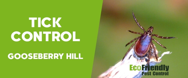 Pest Control Gooseberry Hill