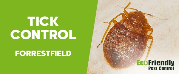 Ticks Control Forrestfield