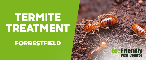 Termite Control Forrestfield