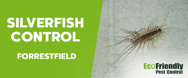 Silverfish Control Forrestfield