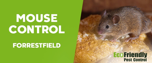 Mouse Control Forrestfield