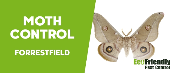 Moth Control Forrestfield