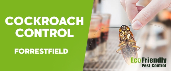 Cockroach Control Forrestfield