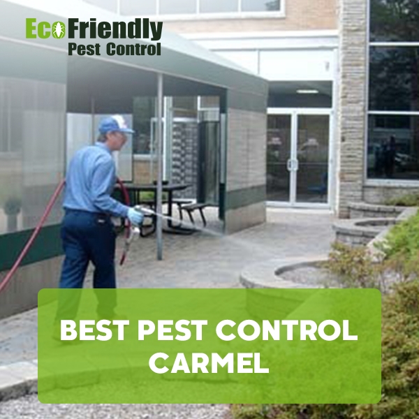 Best Pest Control Carmel
