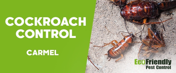 Cockroach Control Carmel 