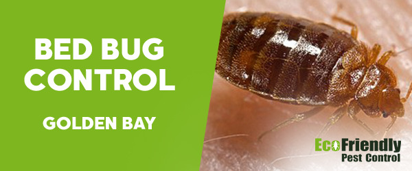 Pest Control Golden Bay