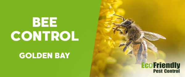 Pest Control Golden Bay