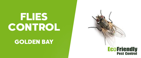 Pest Control Golden Bay