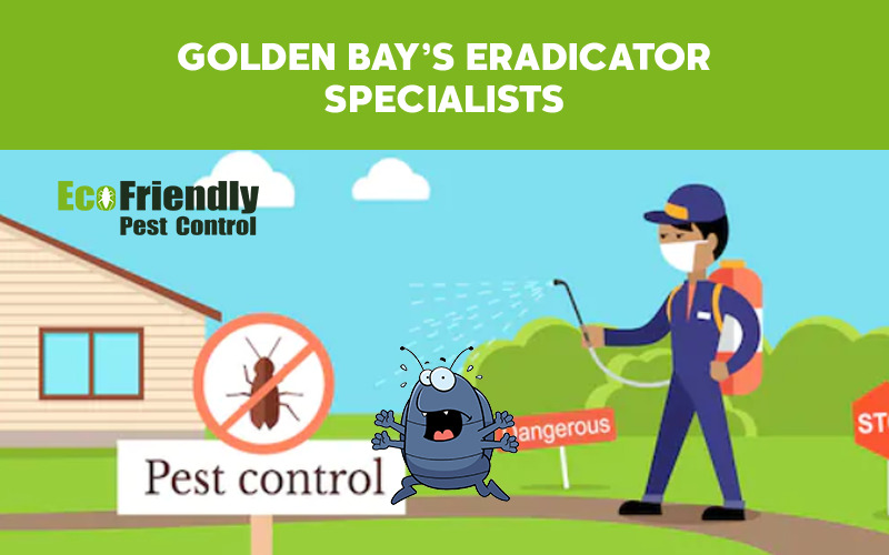 Pest Control Golden Bay