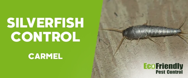 Silverfish Control Carmel