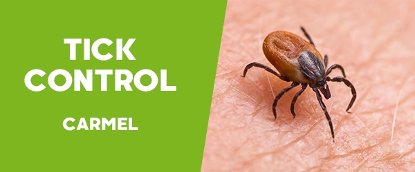 Ticks Control Carmel