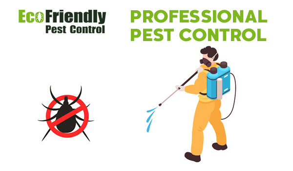 Pest Control Golden Bay